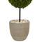 4ft. UV Resistant Boxwood Double Ball Topiary Artificial Tree in Oval Planter